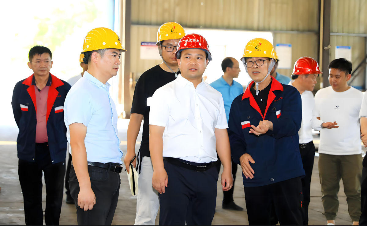 洪湖市市委副书记，市长林继军来厂考察.png